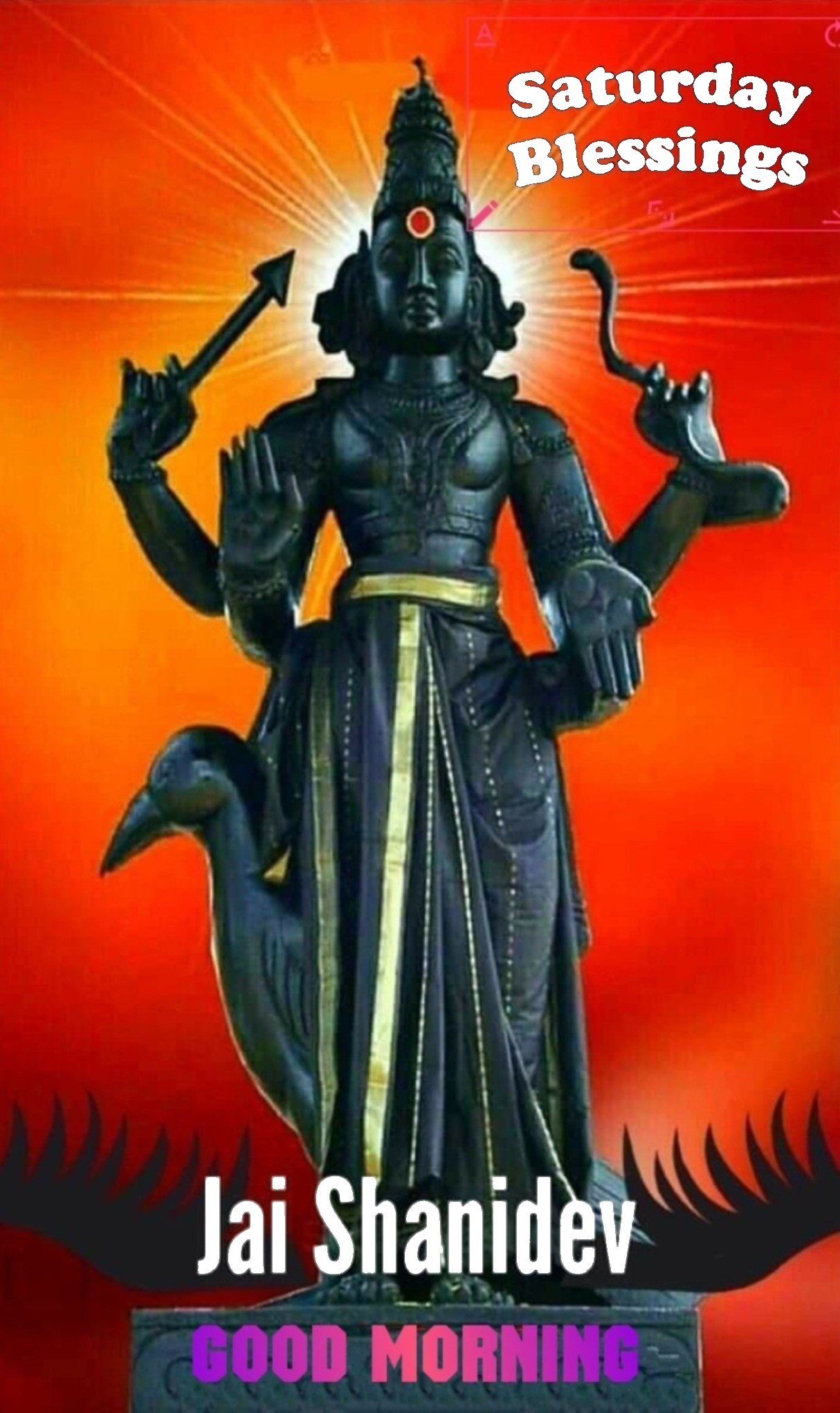 Good Morning Happy Saturday Wishes Special Hd
